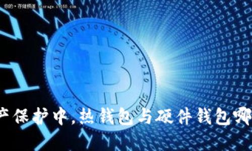 : 在数字资产保护中，热钱包与硬件钱包哪个更适合你？