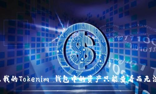 为什么我的Tokenim 钱包中的资产只能查看而无法转移？