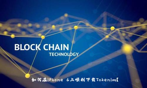 如何在iPhone 6上顺利下载Tokenim？