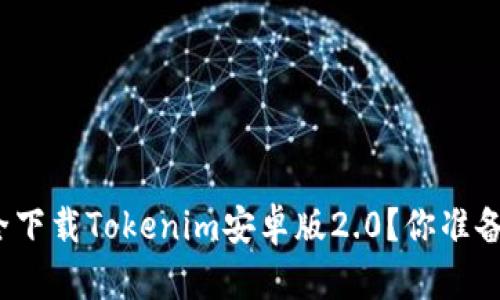 如何安全下载Tokenim安卓版2.0？你准备好了吗？