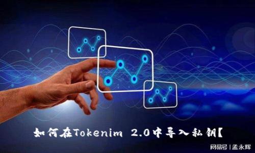 如何在Tokenim 2.0中导入私钥？