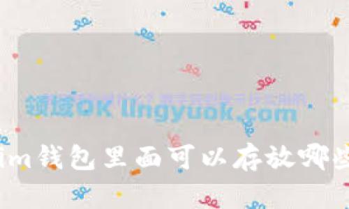 Tokenim钱包里面可以存放哪些内容？