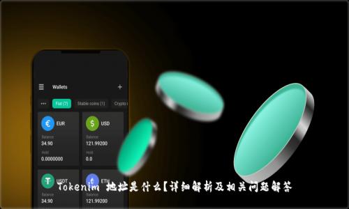 Tokenim 地址是什么？详细解析及相关问题解答
